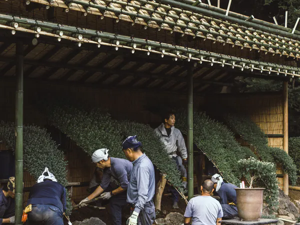 Integración CO2 residuos